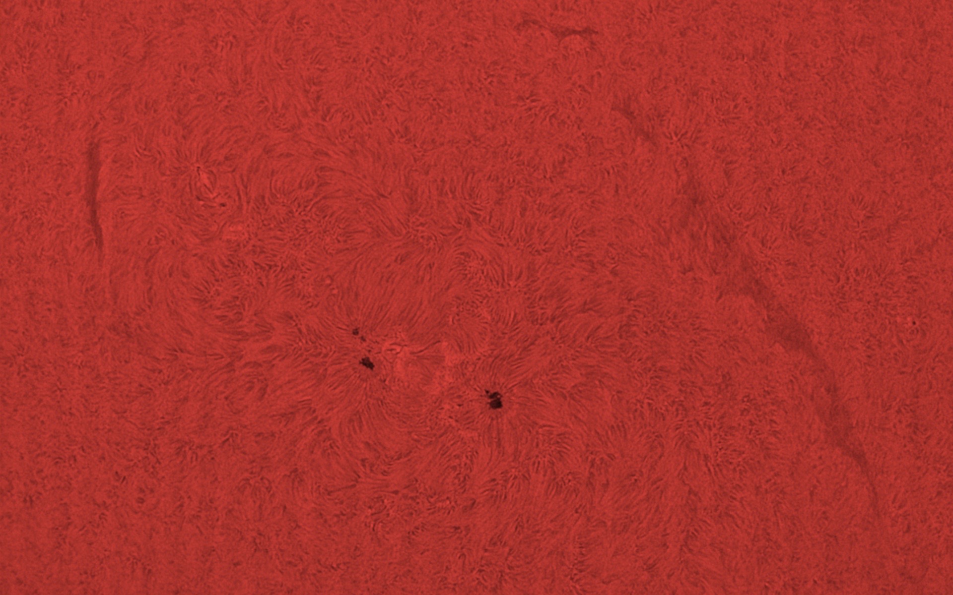 Sonnenfleckengruppe im H-alpha Licht am 06.09.2016